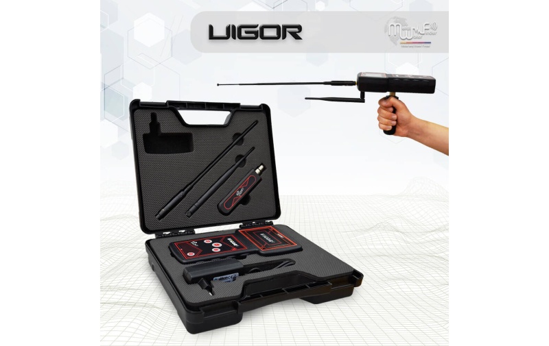 vigor-1