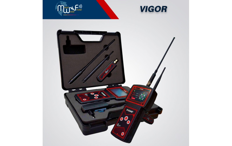 vigor_1-1